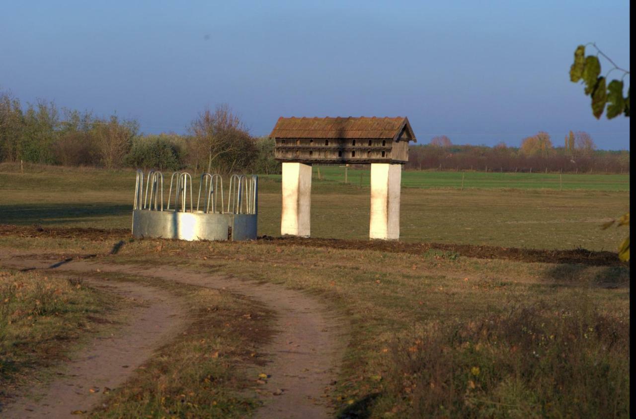 Gedeon Tanya Panzio Pension Jakabszállás Buitenkant foto