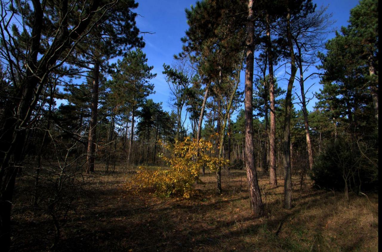 Gedeon Tanya Panzio Pension Jakabszállás Buitenkant foto